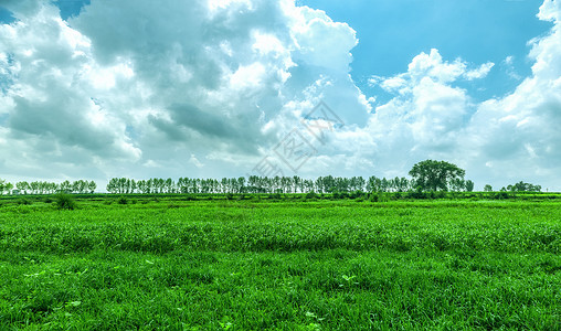 内蒙古凉城县田园种植物景观背景图片