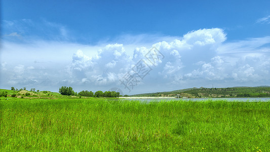 内蒙古夏季草原牧场景观背景图片