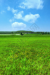 内蒙古夏季草原牧场景观背景图片