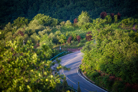 陕西旬邑石门山森林公园马路背景图片