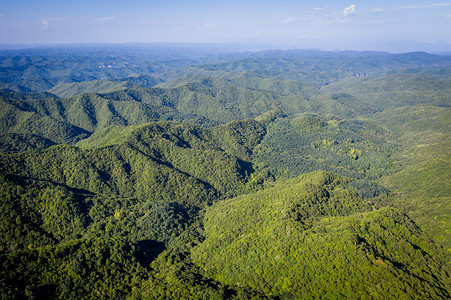 树林鸟瞰陕西旬邑石门山森林公园航拍背景