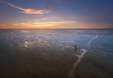 条子黄海湿地秋色背景