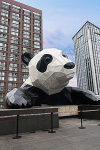 成都IFS熊猫成都国际金融中心天台背景