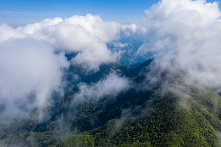 桂林猫儿山高山上的云雾航拍背景