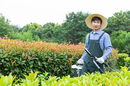 农夫工人修剪农场植物枝叶背景图片