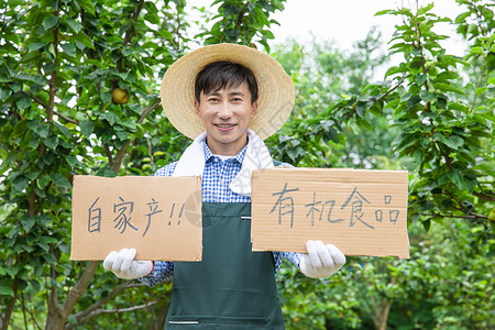 果农采摘果农原产地直销水果背景