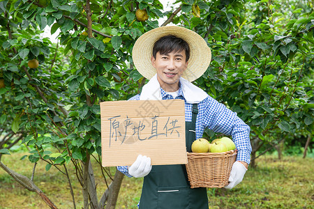 果农原产地直销水果高清图片