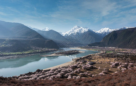 西藏然乌湖景区樱花图片