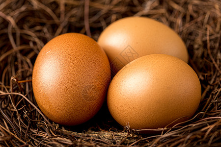 编织鸡窝里的鸡蛋高清图片