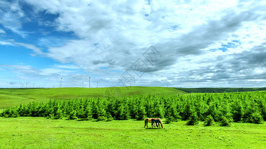 马塔拉内蒙古葛根塔拉夏季草原景观背景