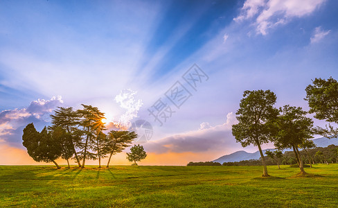 椰光树夏天南京中山陵的夕阳晚霞背景