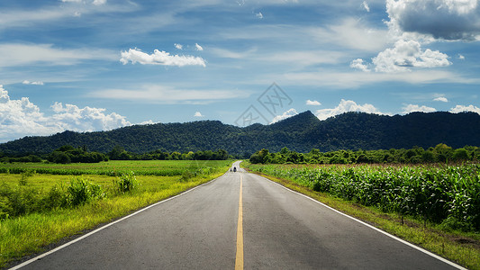 前行道路森林道路公路背景