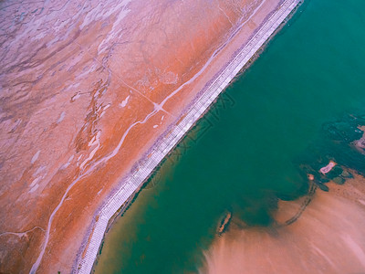 黄海湿地保护区地貌背景图片