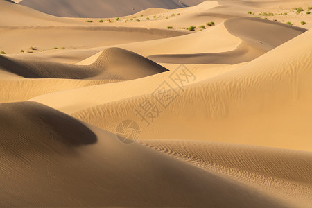 干旱地带沙漠细节纹理背景