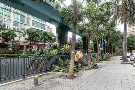 龙卷风灾难台风过后的街道背景