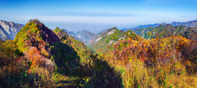 高尾山秋叶少华山神仙台秋景背景