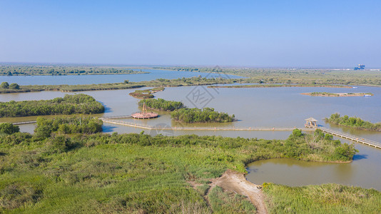 东营黄河入海口国家湿地公园背景