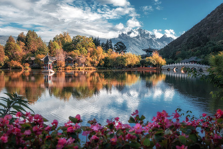 云南丽江黑龙潭风光背景