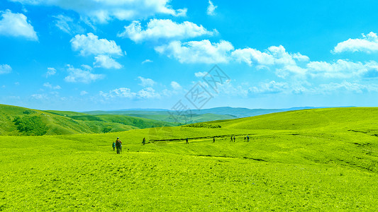 天然农场内蒙古辉腾锡勒草原秋季户外旅游背景