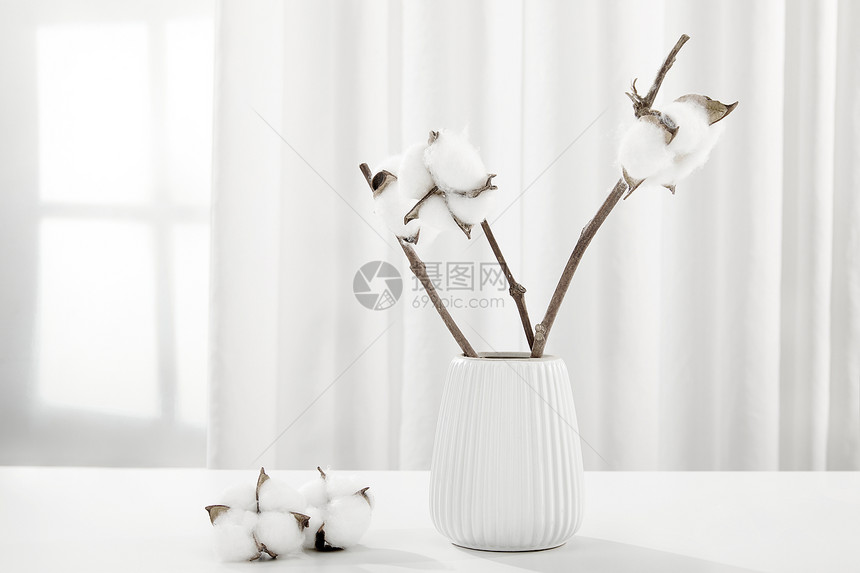 白色桌面上的棉花场景图片