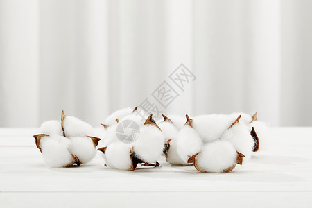 种植棉花木板上的白色棉花背景