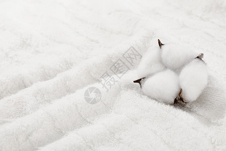白色毛巾上的棉花高清图片