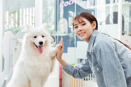 狗狗与人青年美女与宠物萨摩耶相伴握手背景