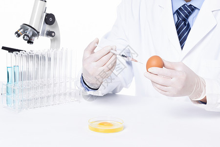 科研人员培育转基因食品鸡蛋背景图片