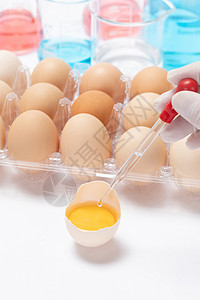 蛋管转基因鸡蛋科研培育背景