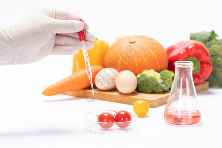 食品安全追溯转基因小番茄科研培育背景