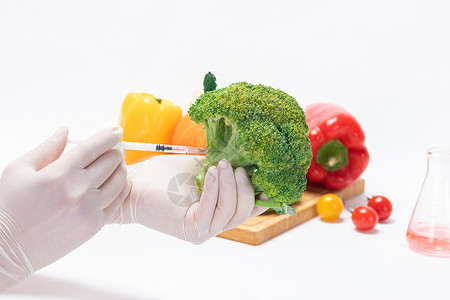 转基因蔬菜西兰花科研培育高清图片