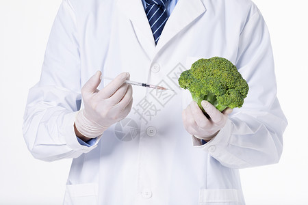 转基因蔬菜科研培育图片