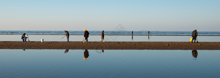 海滨浴场大连赶海人群背景