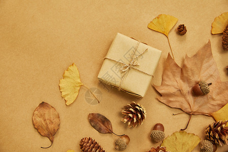 黄色礼物盒秋日落叶和礼物盒背景