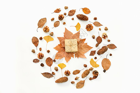 秋日落叶和礼物盒图片