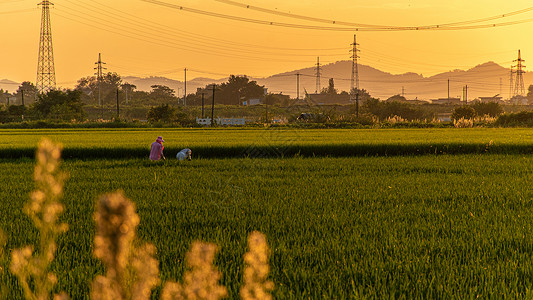 风场日落农村农民乡村田园耕作日暮而作背景