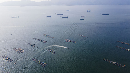 惠阳港口的捕鱼船和运输船图片
