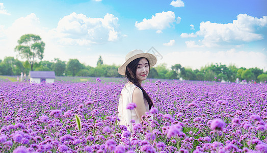 马鞭草花海女孩图片