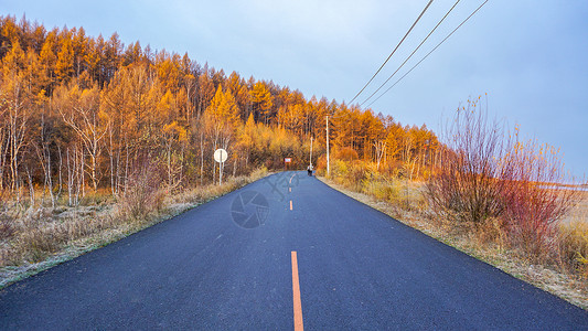 秋日清晨秋天清晨的公路背景