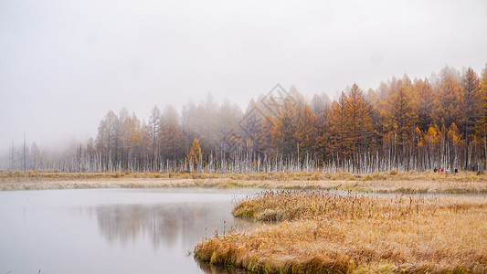秋天的湖乌苏浪子湖秋景晨雾背景