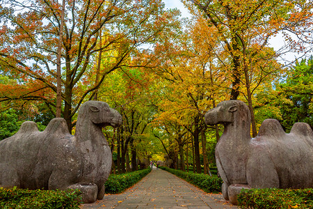 神兽麒麟南京明孝陵石像路神道秋色背景