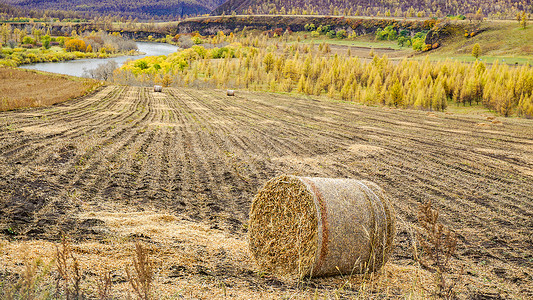 麦田草垛秋天收割完的草垛背景
