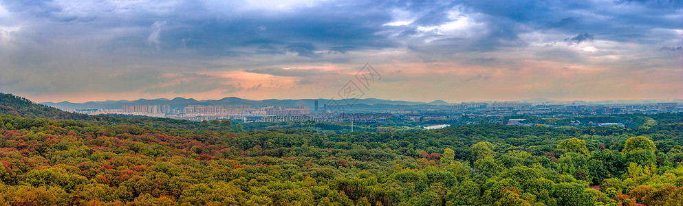 南京紫金山秋色全景背景