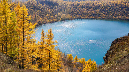 金黄森林驼峰岭天池秋色背景