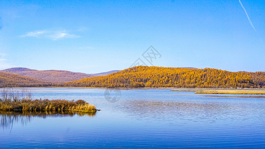 杜鹃湖秋景秋季阿尔山高清图片