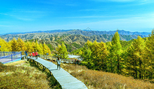 内蒙古苏木山国家森林公园秋季景观高清图片