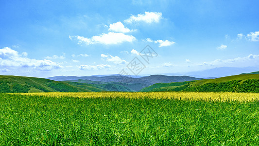 内蒙古秋季田园耕地景色背景图片
