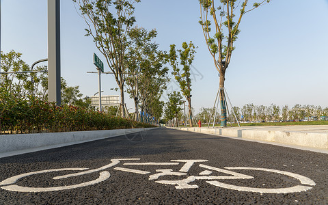 交通安全标识马路上的自行车道背景