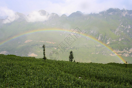 许晴高山上的彩虹背景