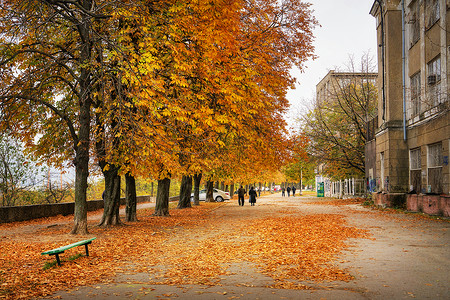 乌克兰敖德萨东欧晚秋风景高清图片